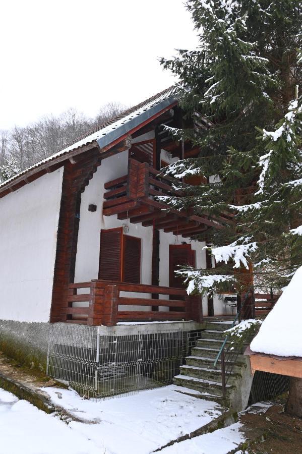 Casa De Vacanta Satic Piatra Craiului La Doi Viermi מראה חיצוני תמונה